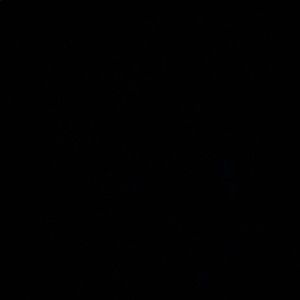 Meet your Posher, Diamond